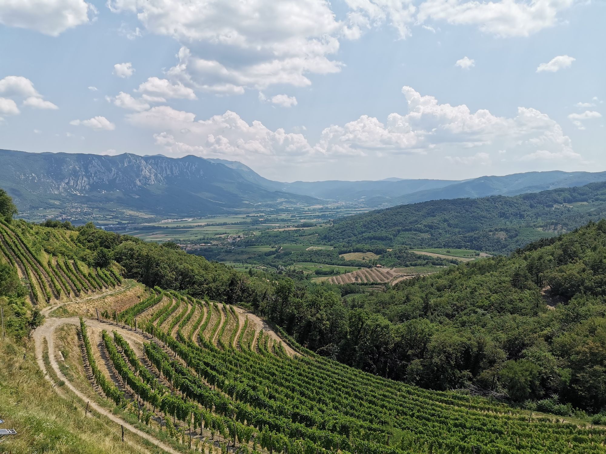 Ontdek de Vipava vallei